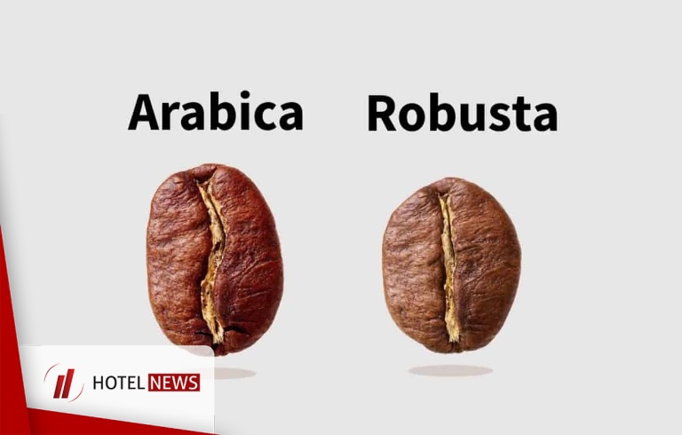 جزئیاتی در خصوص دانه‌های قهوه Arabica و Robusta - بخش اول - تصویر 1