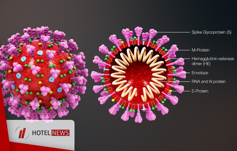 Novel Coronavirus(2019-nCoV) - Situation Report 19 - Picture 1