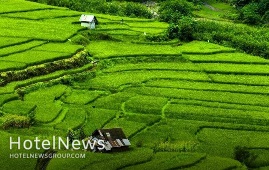 گردشگری کشاورزی فرصت ۱۱۸ میلیارد دلاری مغفول مانده در استان گیلان
