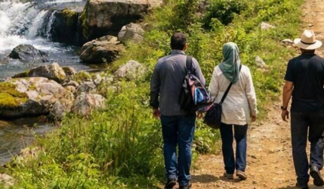 ممنوعیت ورود تورهای گردشگری غیرمجاز به مناطق گردشگری چناران - تصویر 1
